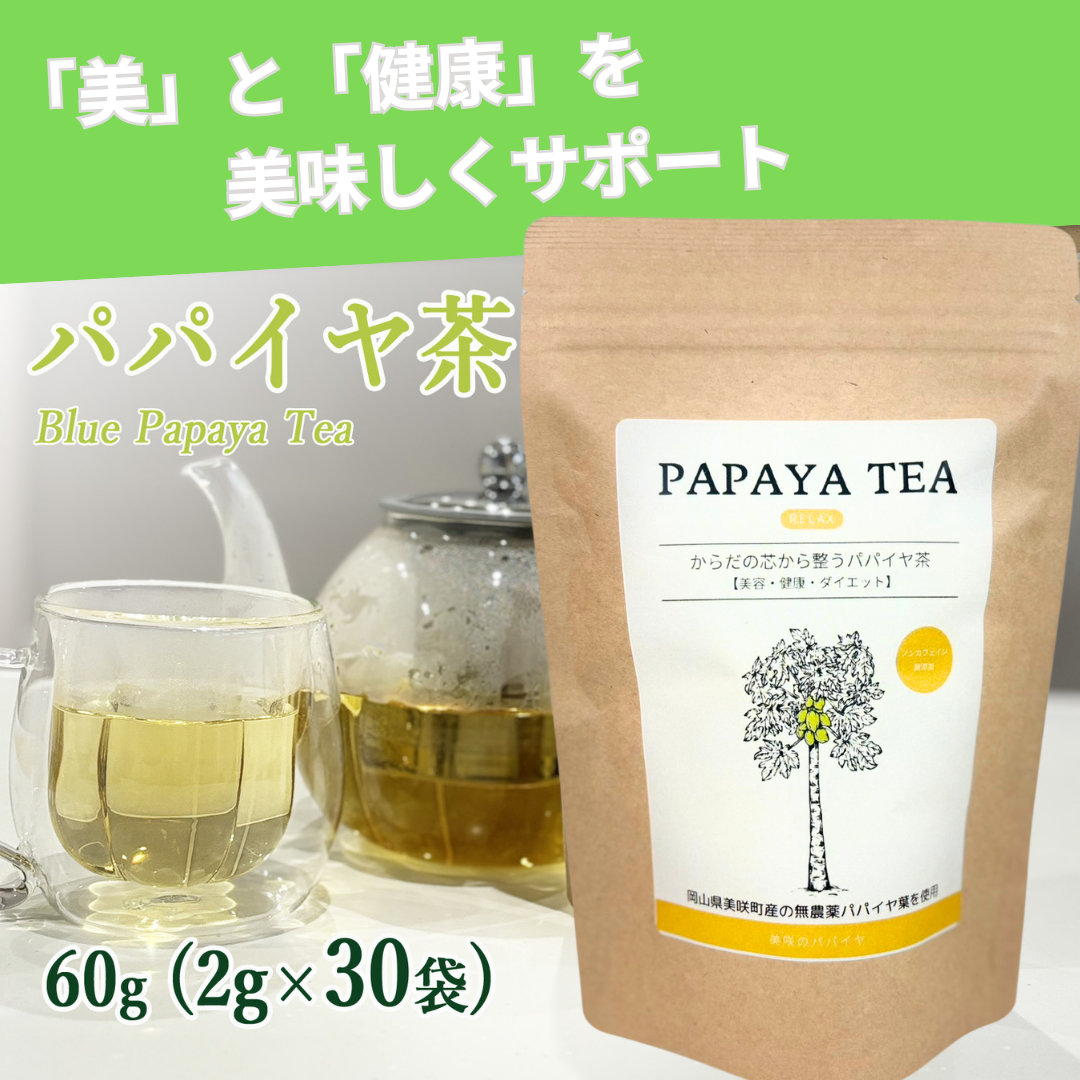 パパイヤ茶 青パパイヤ ２g×３０パック入り ティーバッグ ノンカフェイン 健康茶